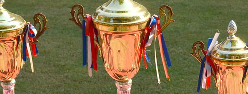 row of 3 unique trophies