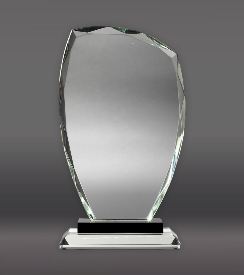 Omni Glass Award Rear