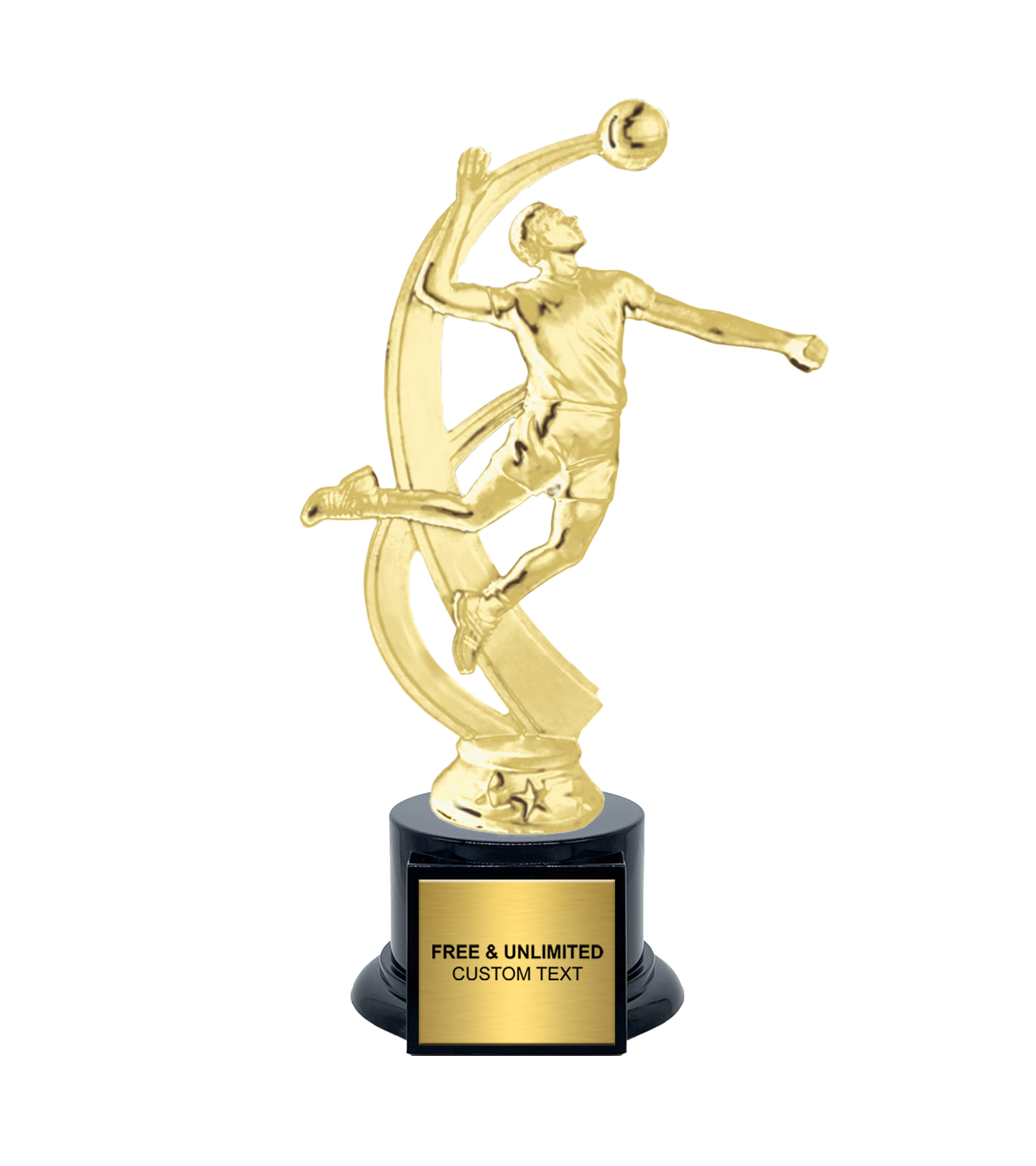 Motion Male Volleyball Trophy