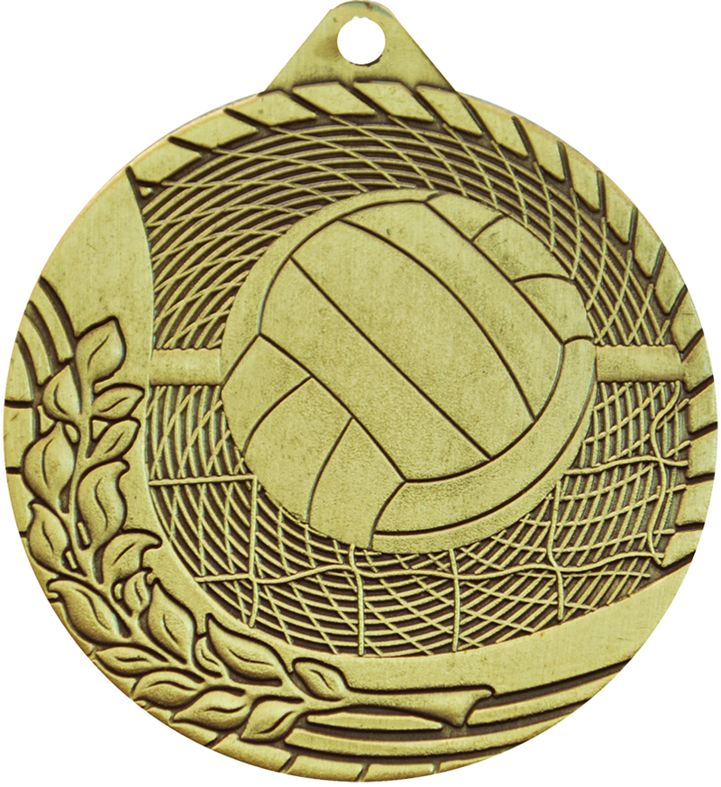 Gold Budget Volleyball Medal