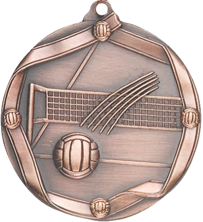 Bronze Die Cast Volleyball Medal
