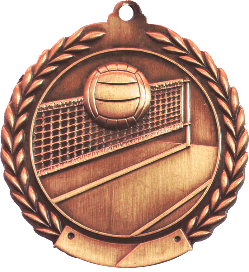 Bronze 2.75" Wreath Volleyball Medal