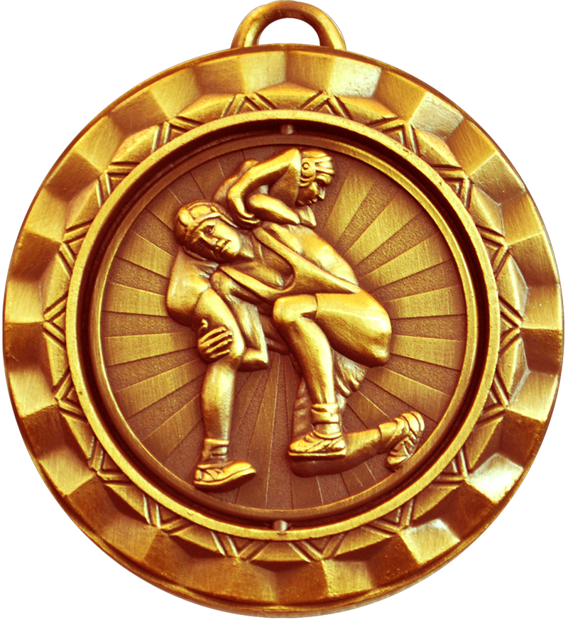 Bronze Spin Wrestling Medal