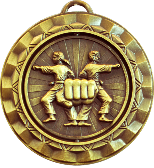 Spin Karate Medal
