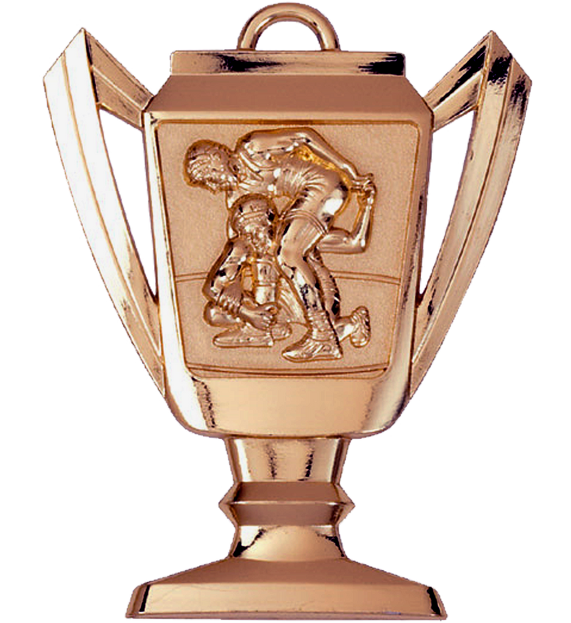 Bronze Wrestling Trophy Medal