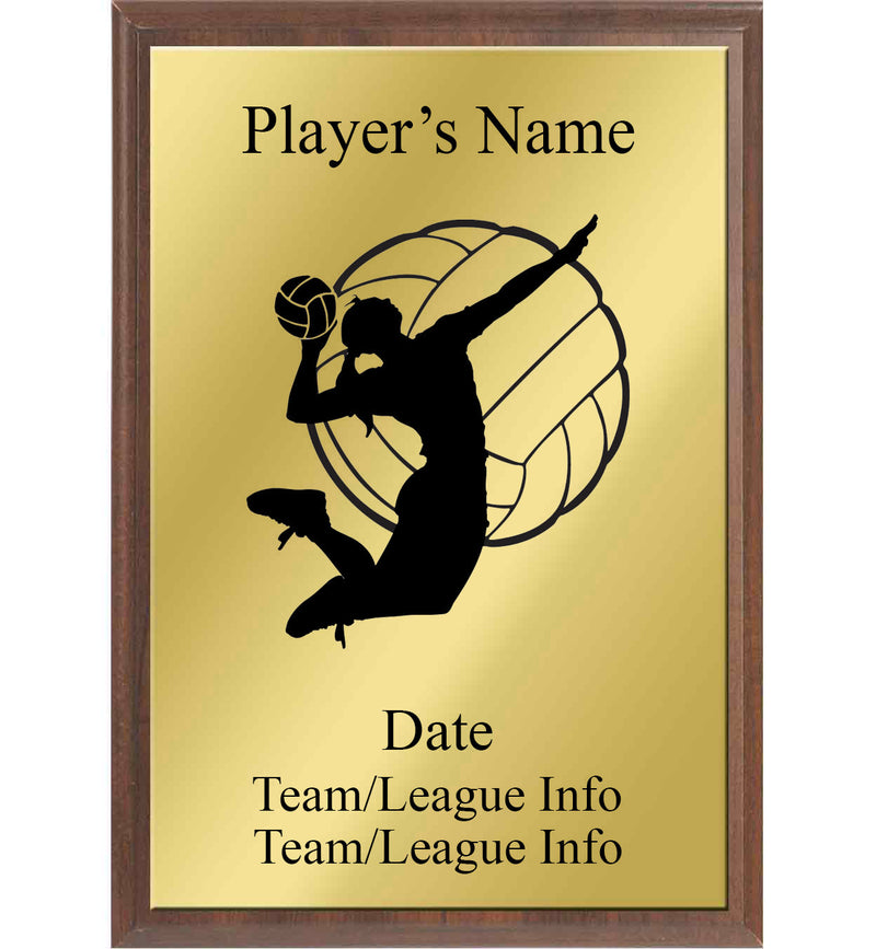 Volleyball Silhouette Plaque