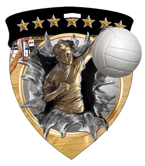 Female Volleyball Color Shield Medal
