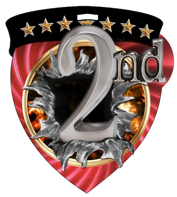 2nd Place Color Shield Medal