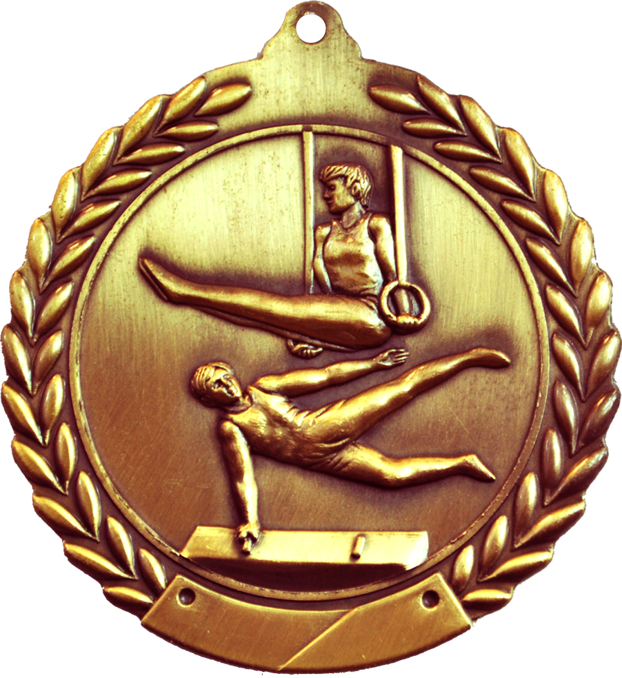Bronze 2.75" Wreath Male Gymnastics Medal