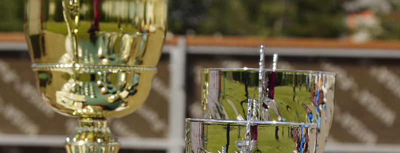 Metal trophy cups