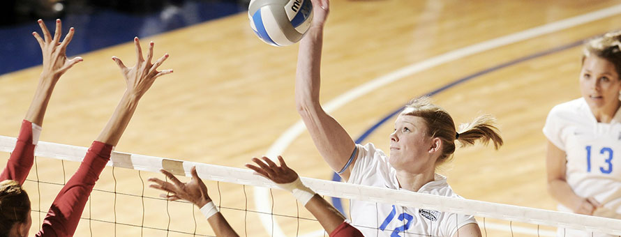 unusual trophy for volleyball game