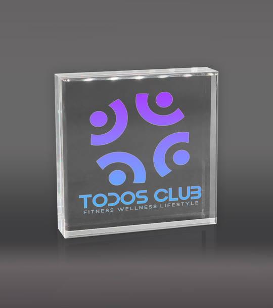 Color Printed Square Acrylic Paperweight