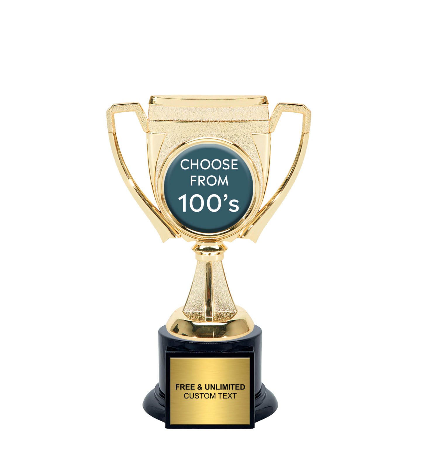 Victory Cup Insert Trophy