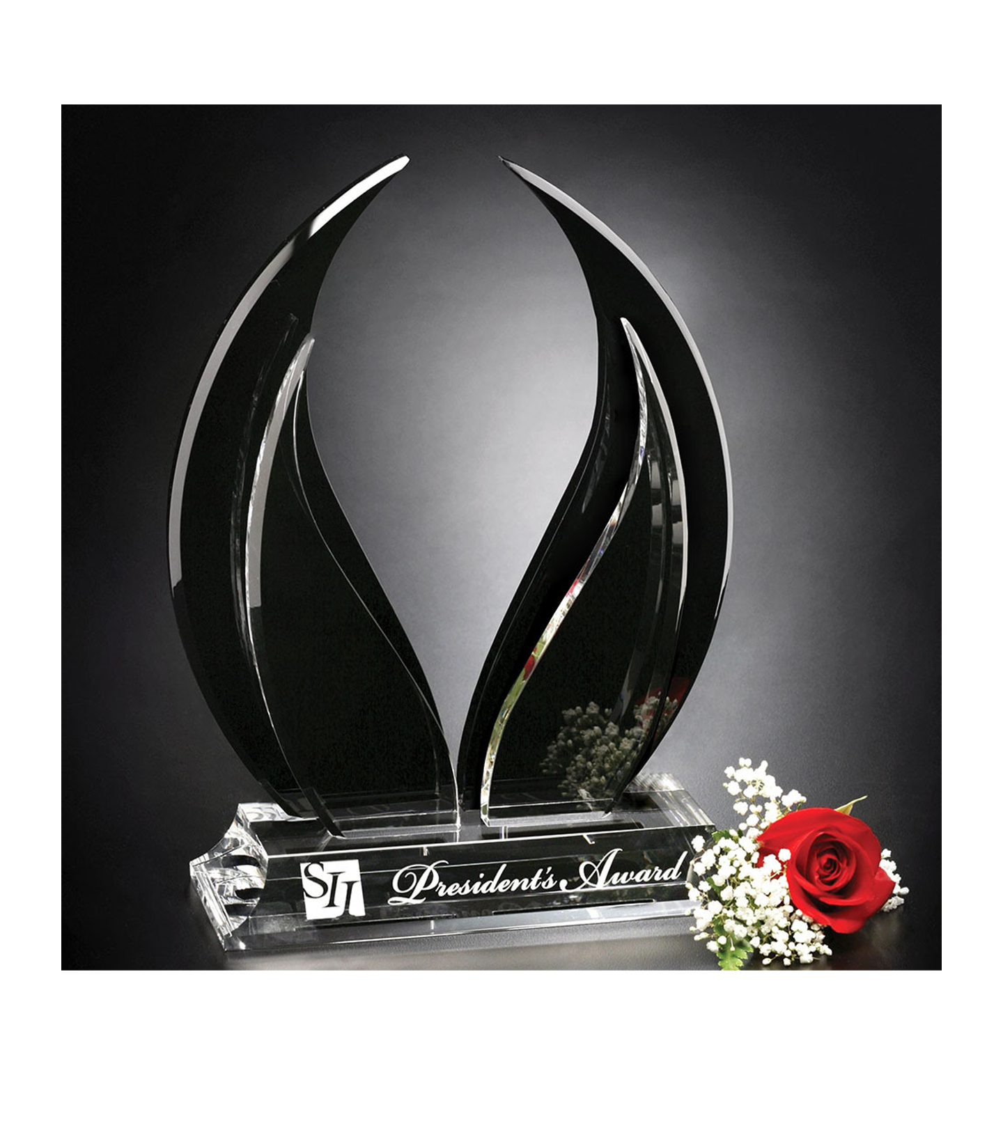 Wings of Peace Award