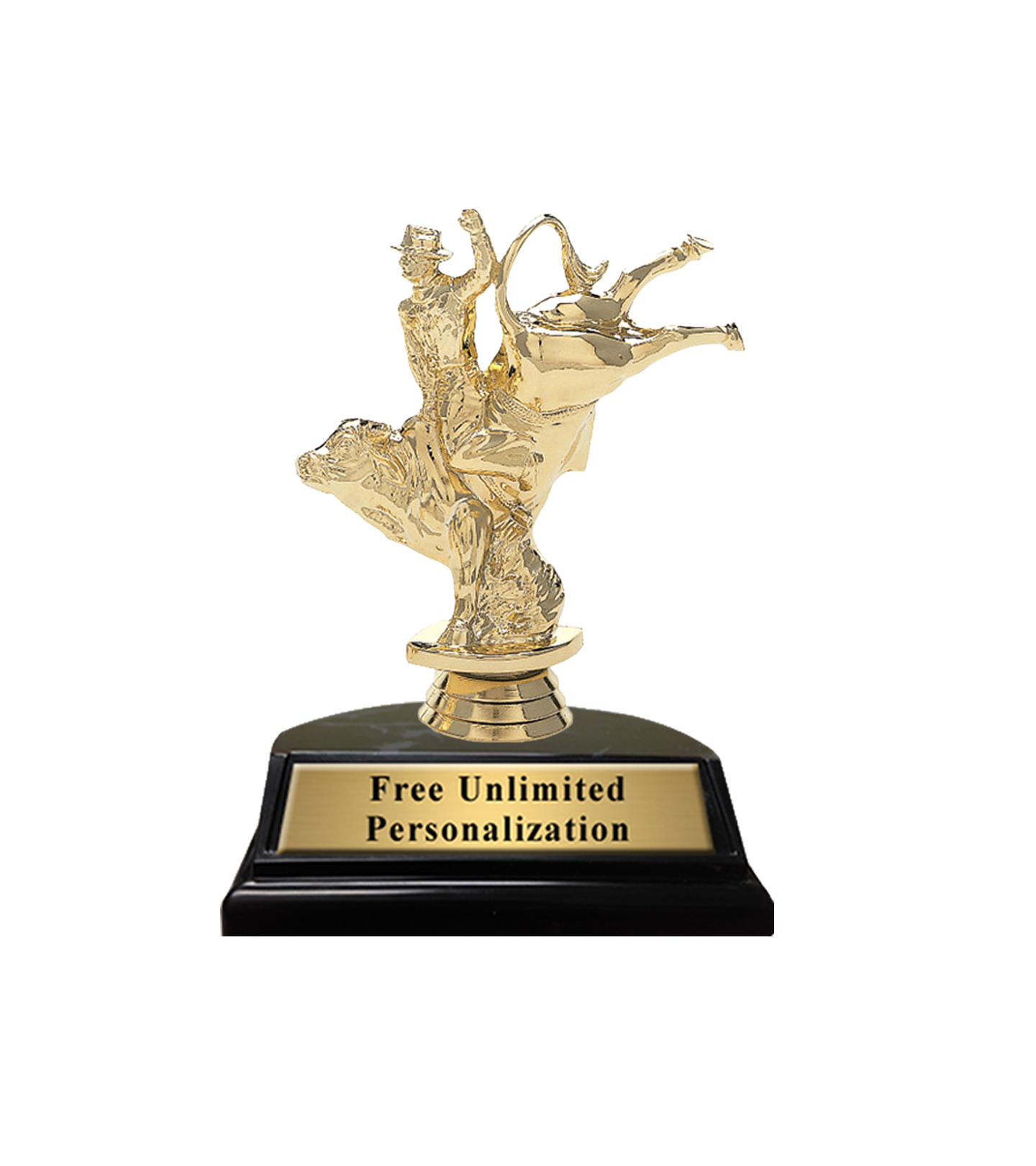 Pro Rodeo Trophy Not My First Rodeo Trophy