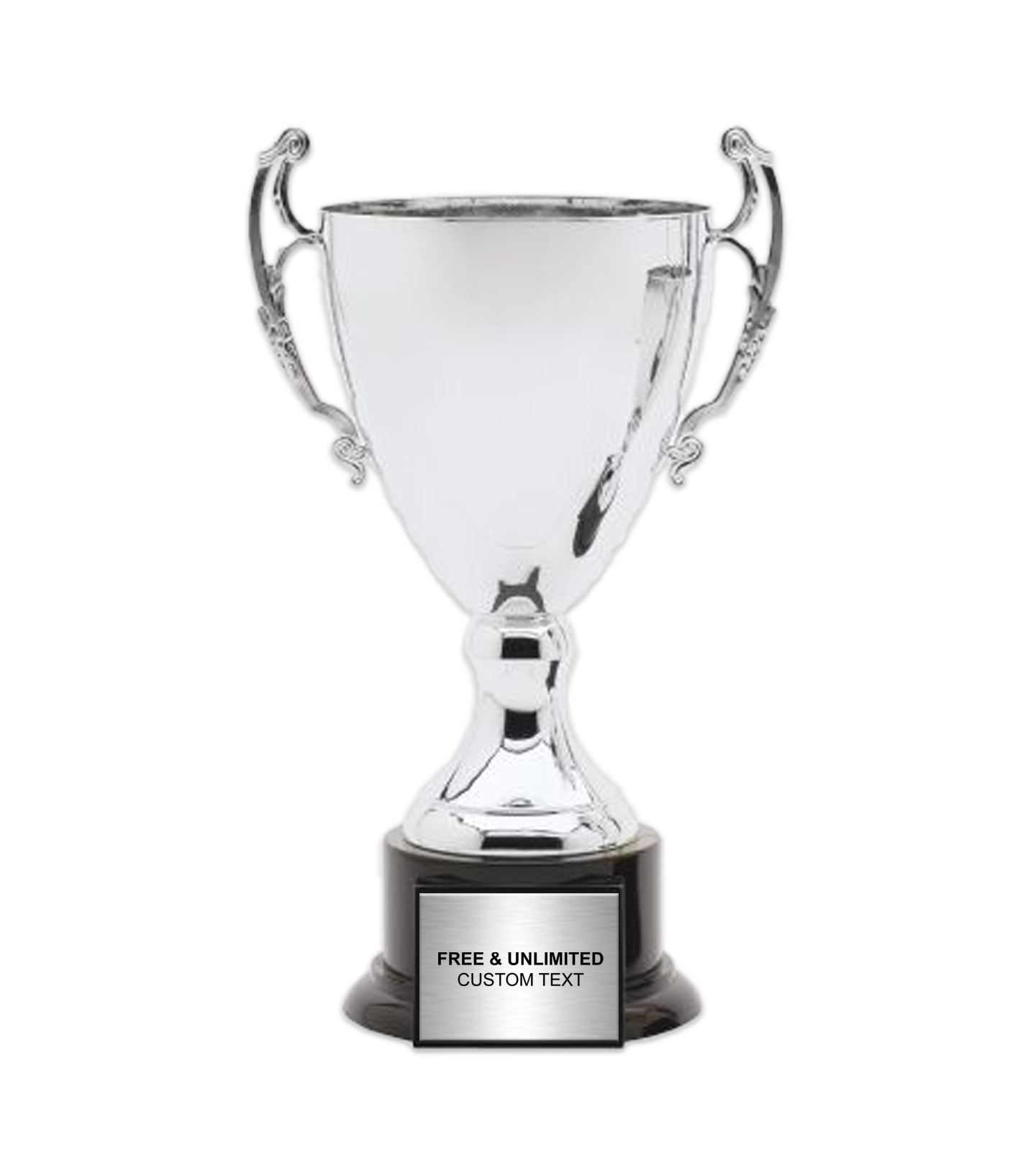 Silver Metal Cup Trophy on Plastic Base