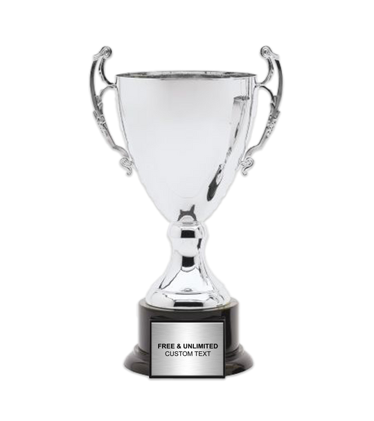 Silver Metal Cup Trophy on Plastic Base