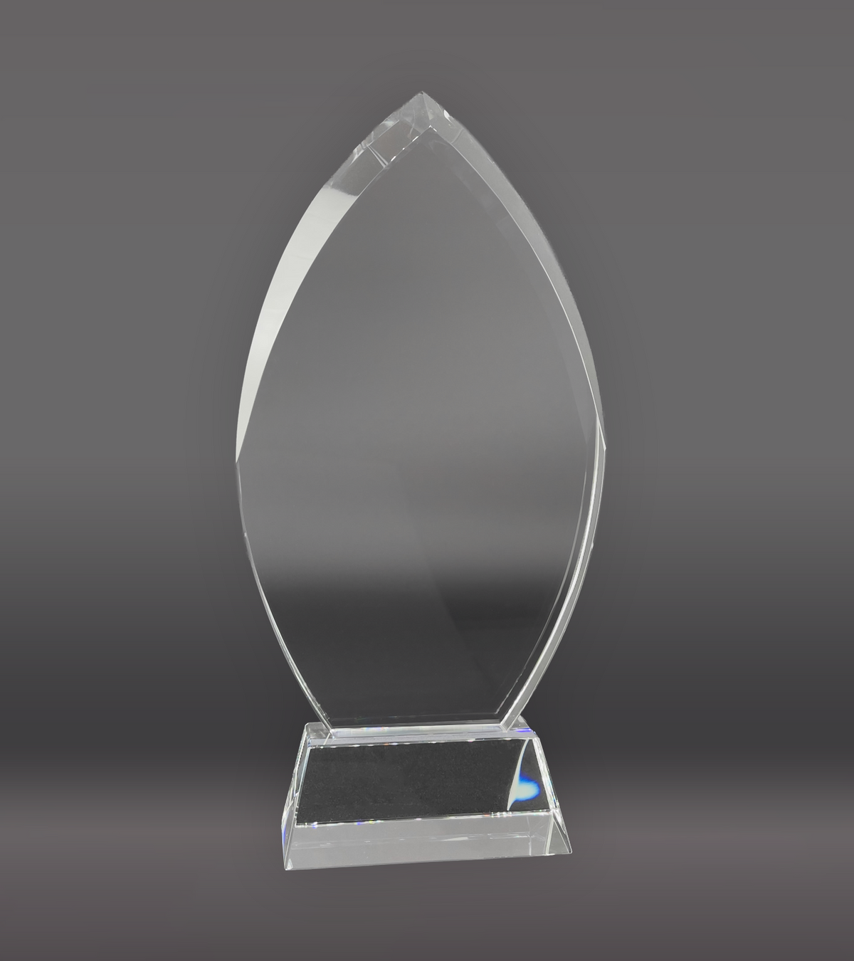 Cascade Custom Crystal Award Rear