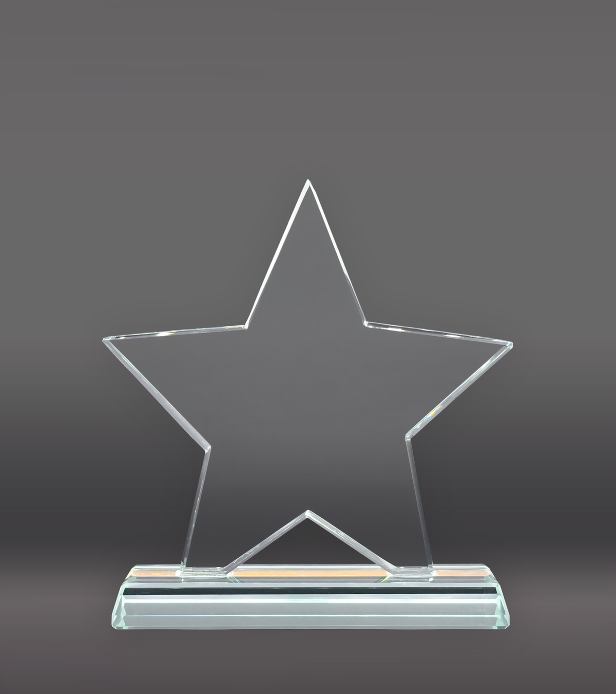 Crystal Star Award Rear