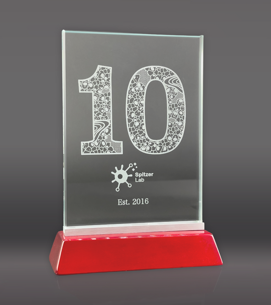 Rosewood Rectangle Crystal Award