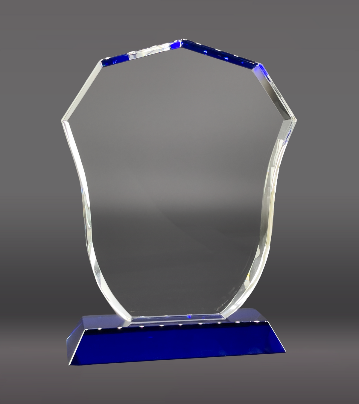 Police badge Crystal Rear