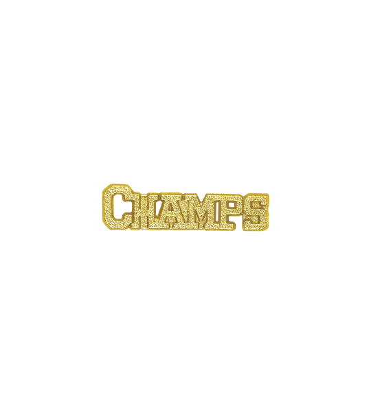 Sports Chenille Pin – Champs
