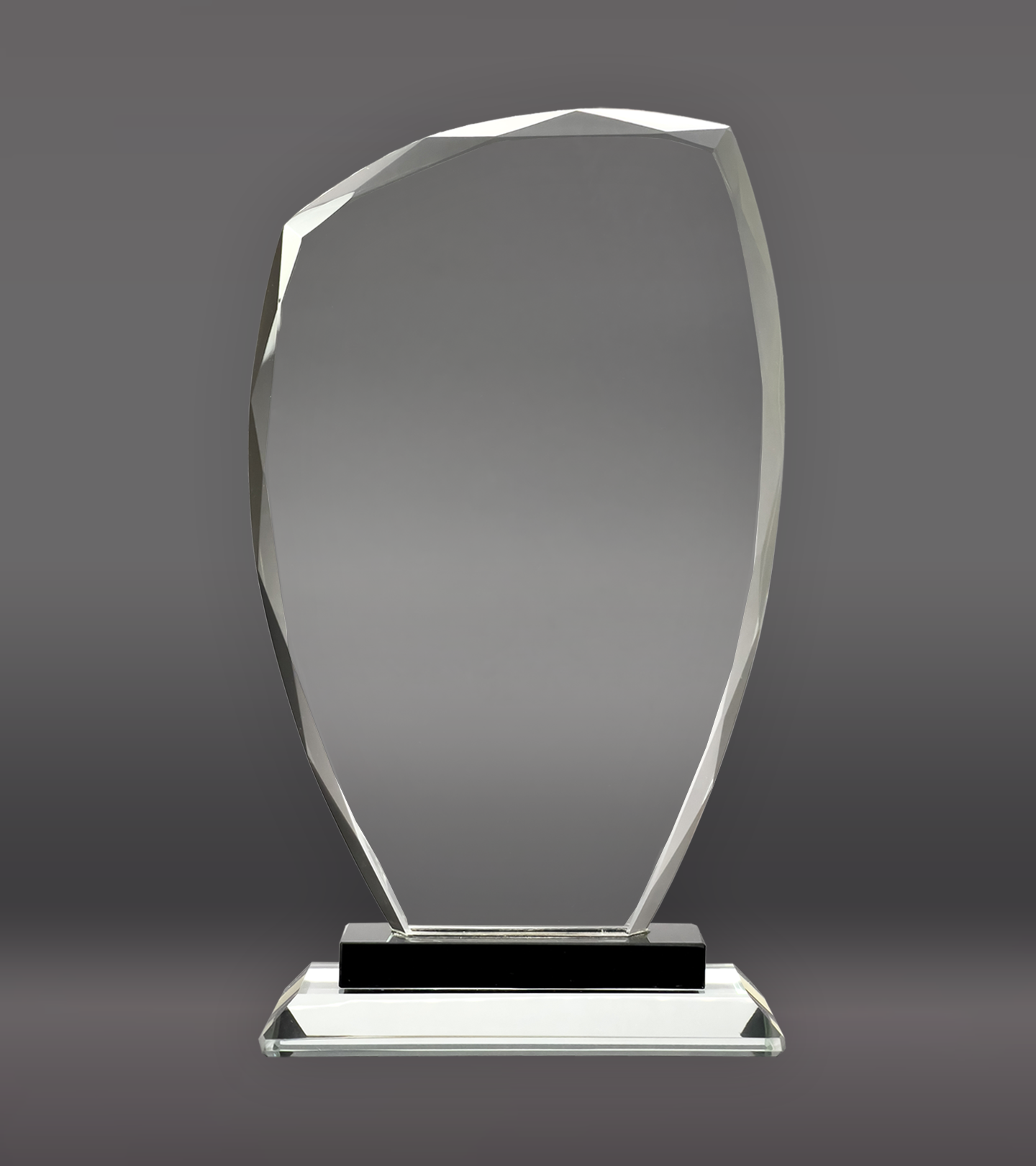 Omni Glass Award Front