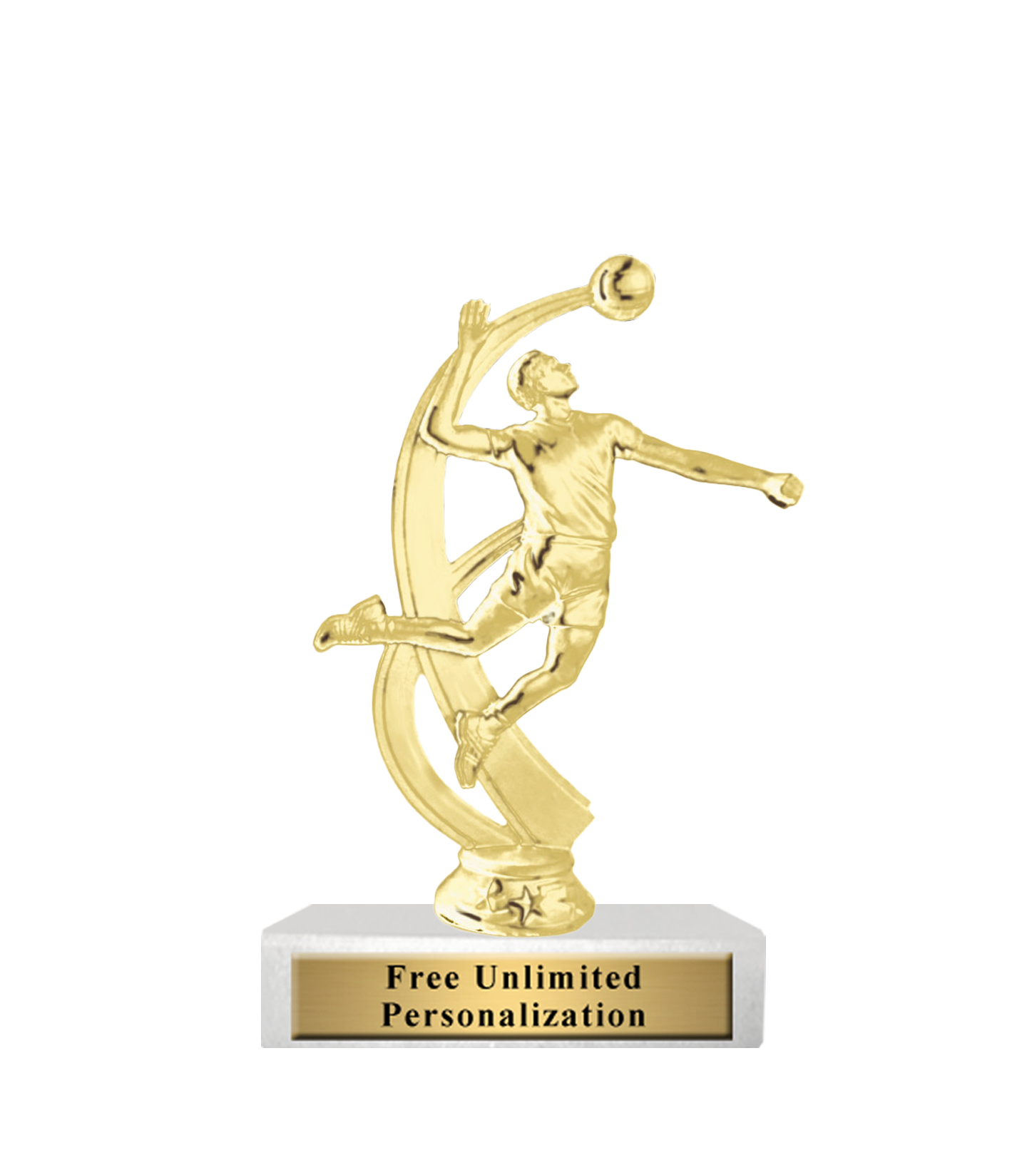 Standard Volleyball Trophy