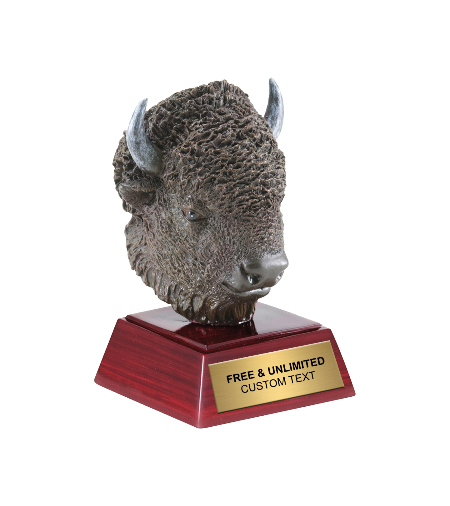 Resin Buffalo Trophy