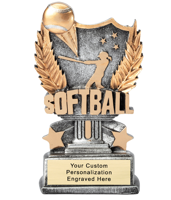 Bronze and Silver Softball Award