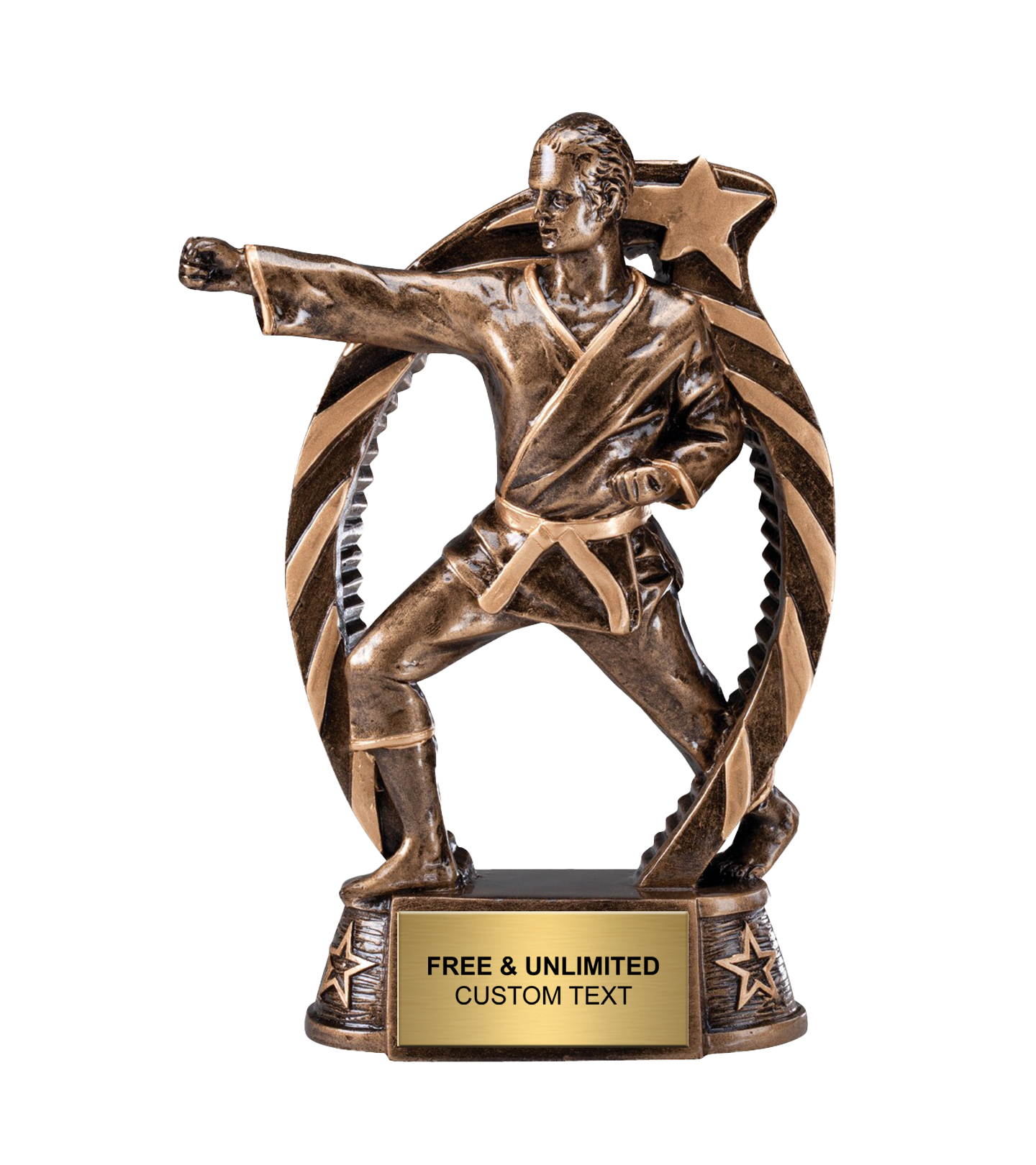 Running Star Martial Arts Trophy