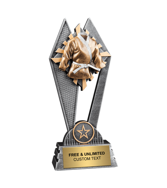 Sun Ray Martial Arts Award