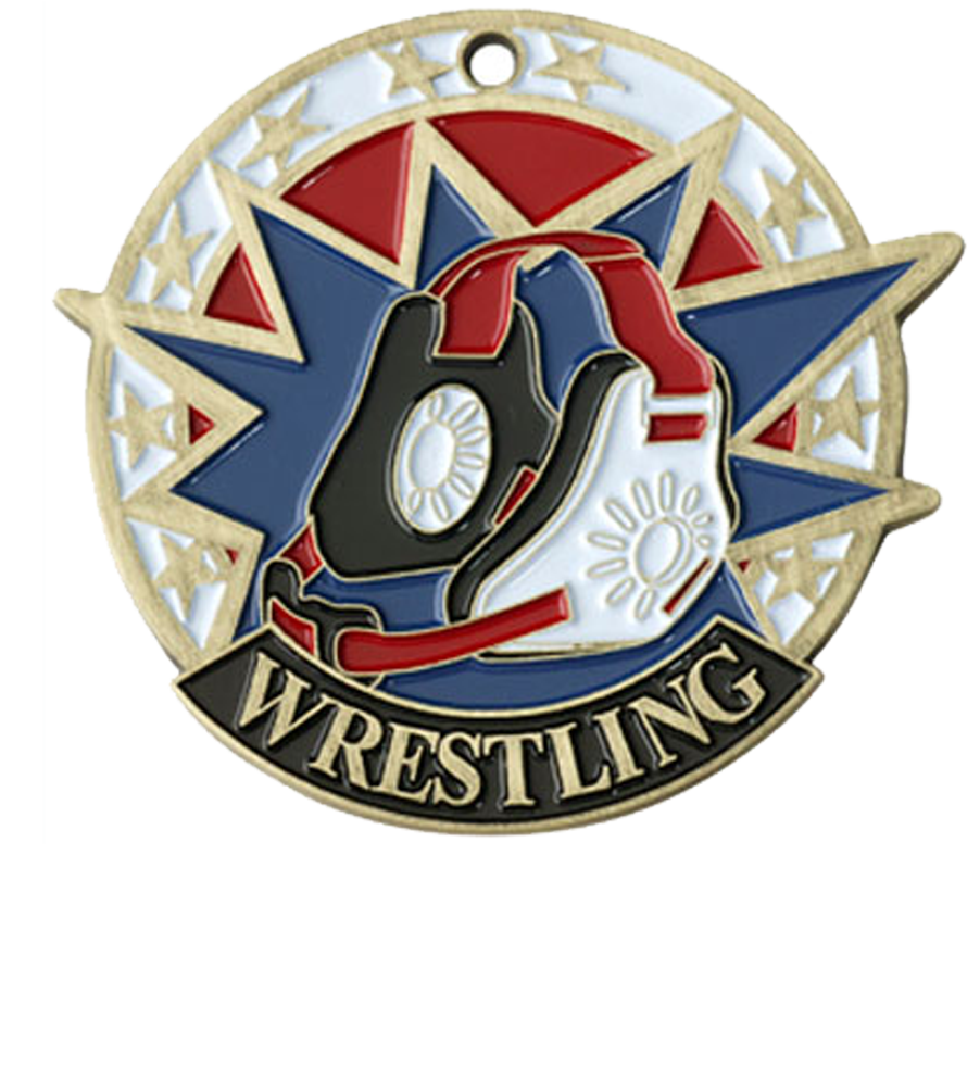 Gold USA Sport Wrestling Medal