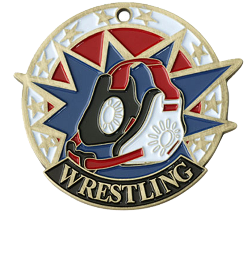 Gold USA Sport Wrestling Medal