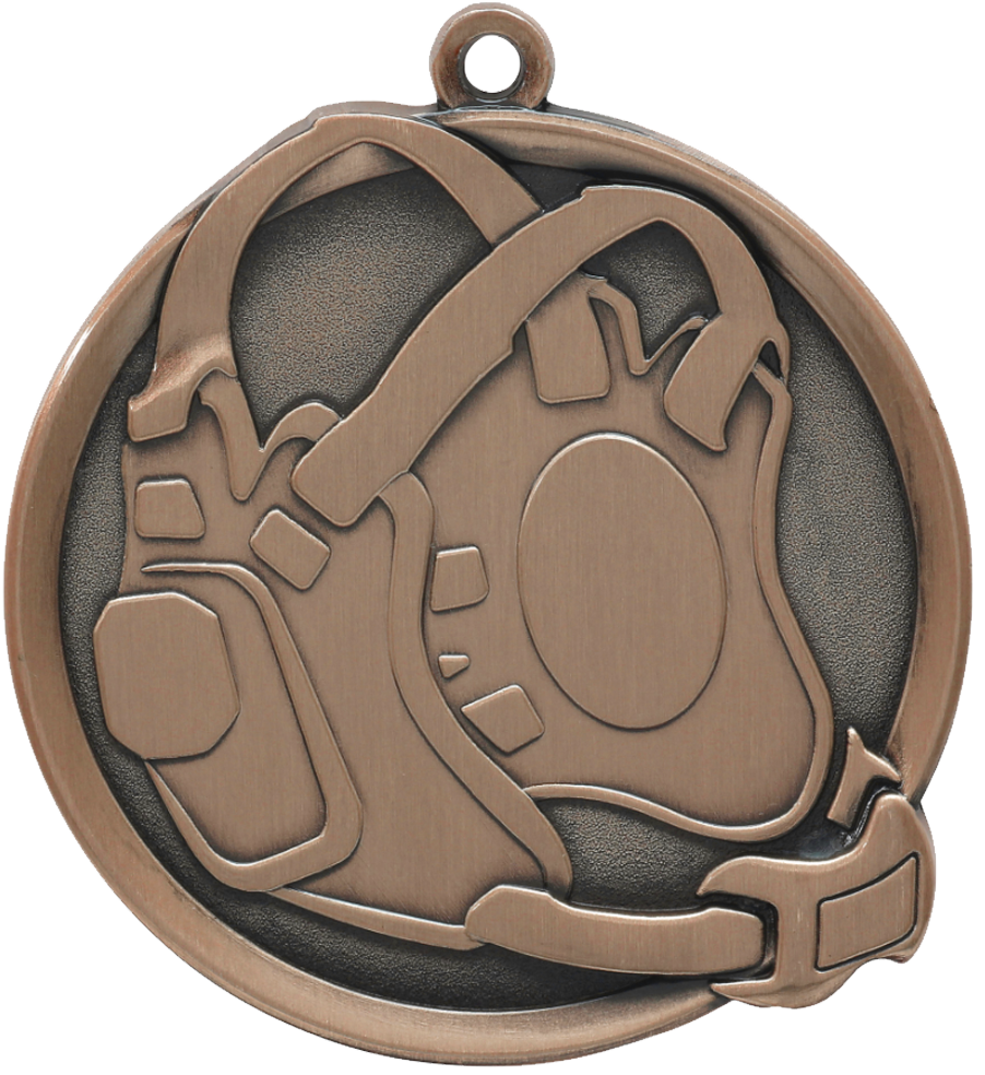 Bronze Premier Wrestling Medal