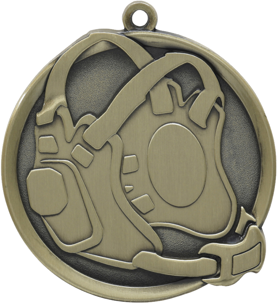 Gold Premier Wrestling Medal