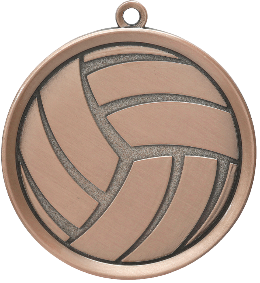 Bronze Premier Volleyball Medal