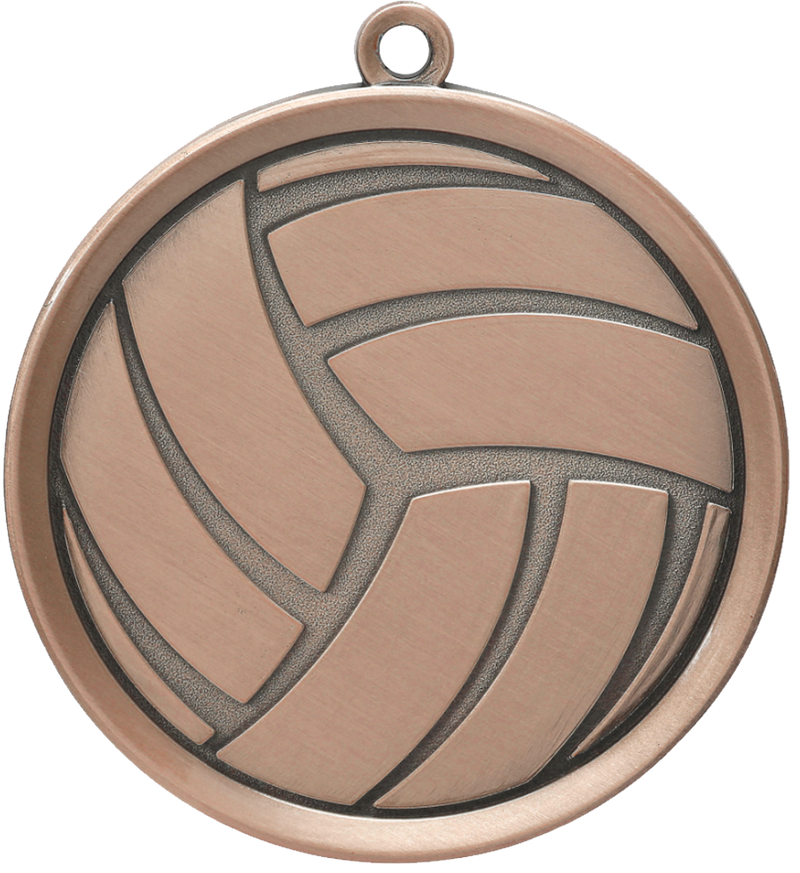 Volleyball Medal Award, School Team Sports, 2, full color, w/ engraving,  ribbon