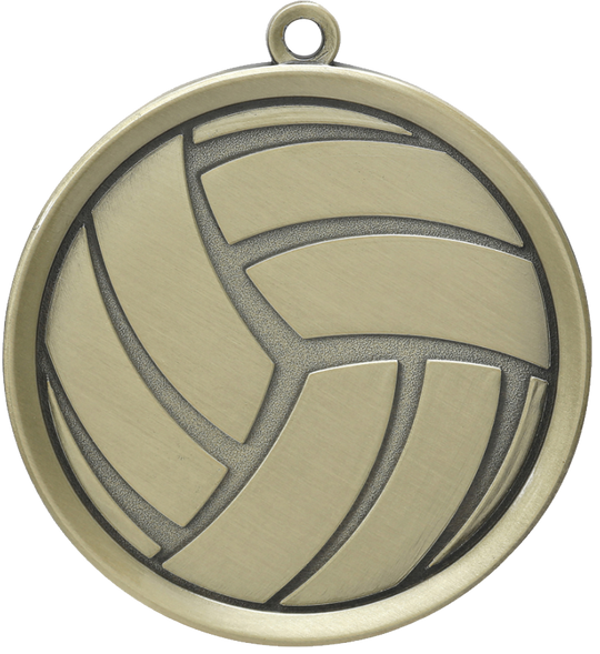 Premier Volleyball Medal