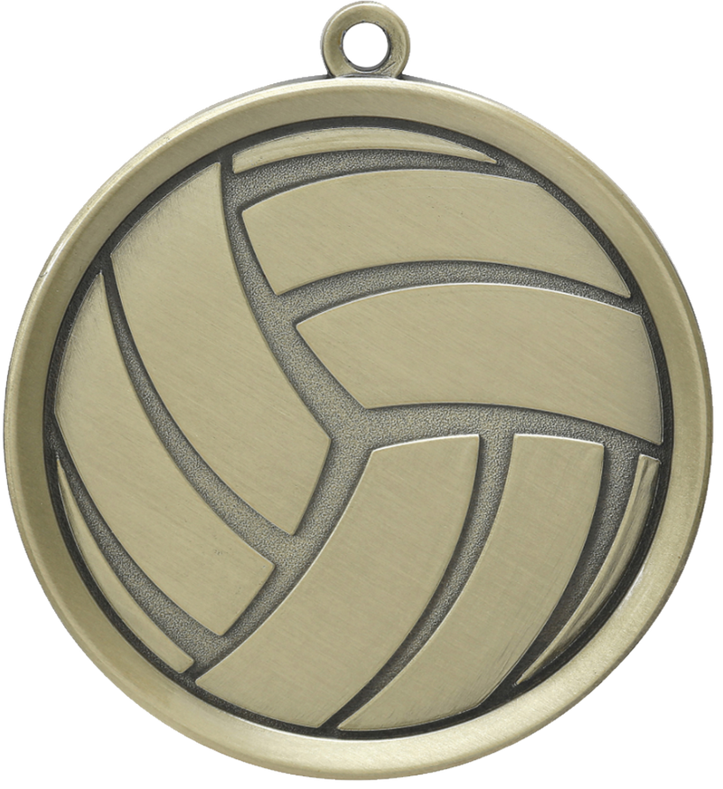 Gold Premier Volleyball Medal