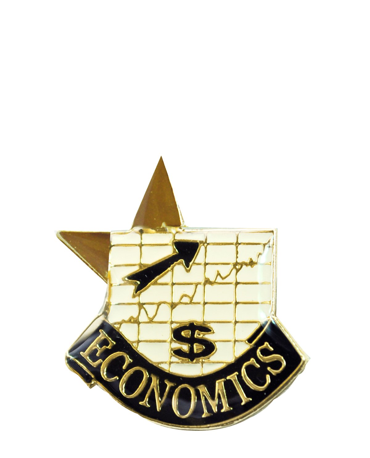 Economics Pin