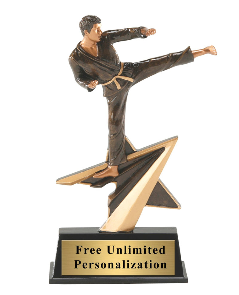 Star Power Male Karate Trophy