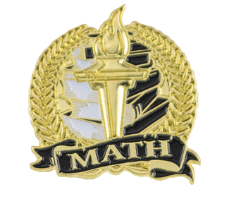 Bright Gold Math Lapel Pin