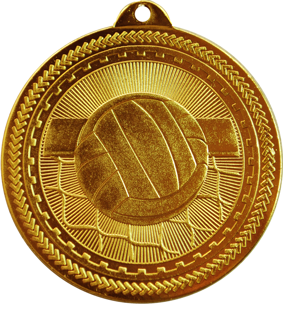 Bronze BriteLazer Volleyball Medal