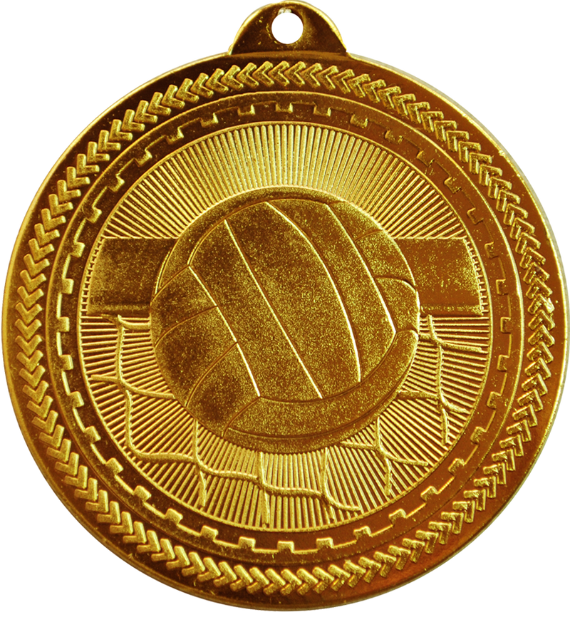 Bronze BriteLazer Volleyball Medal
