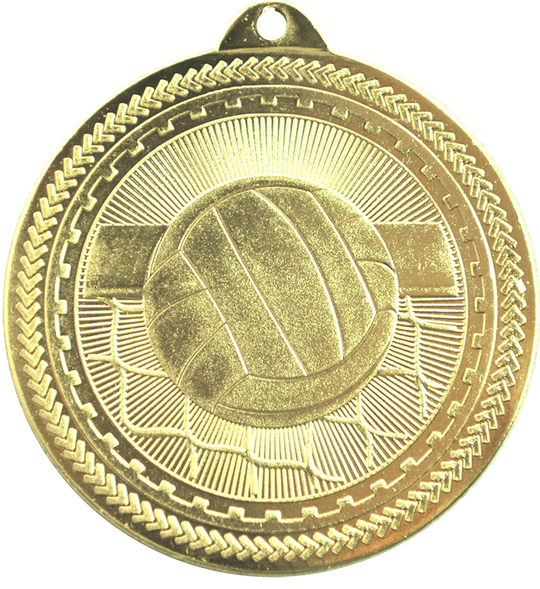 BriteLazer Volleyball Medal