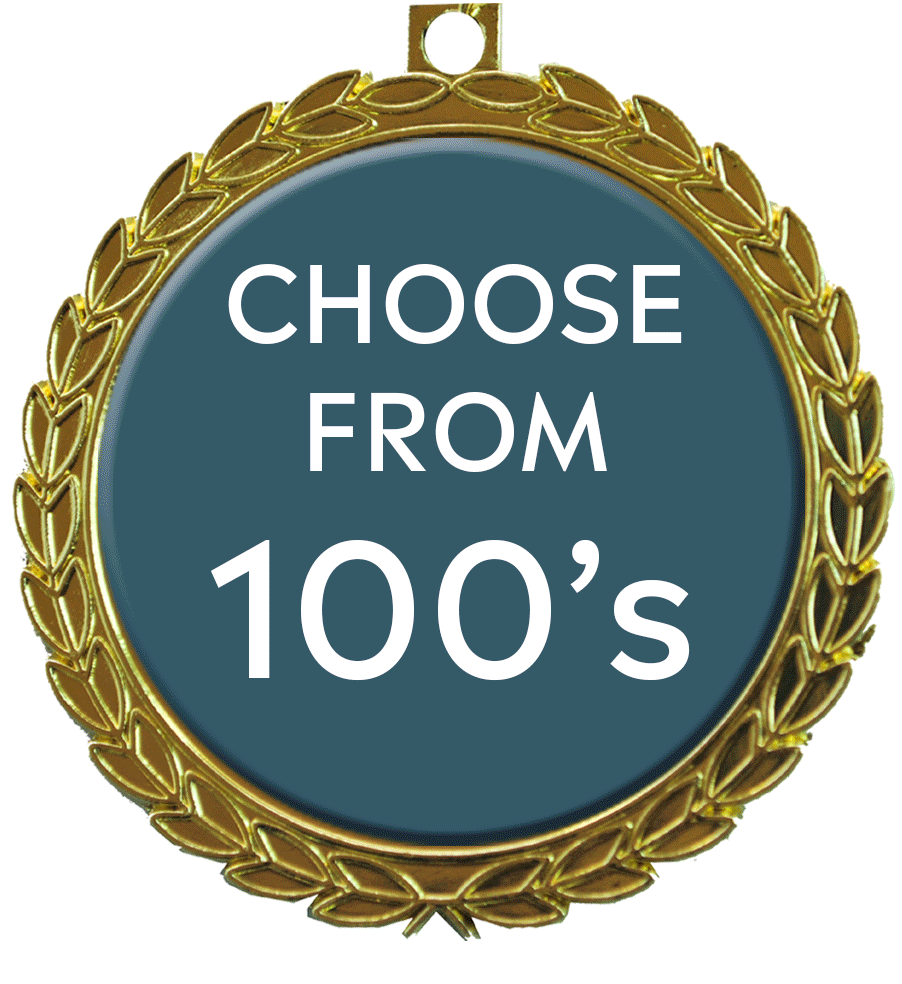 Dodgeball Trophies Dodgeball Awards and Medals Buy Now