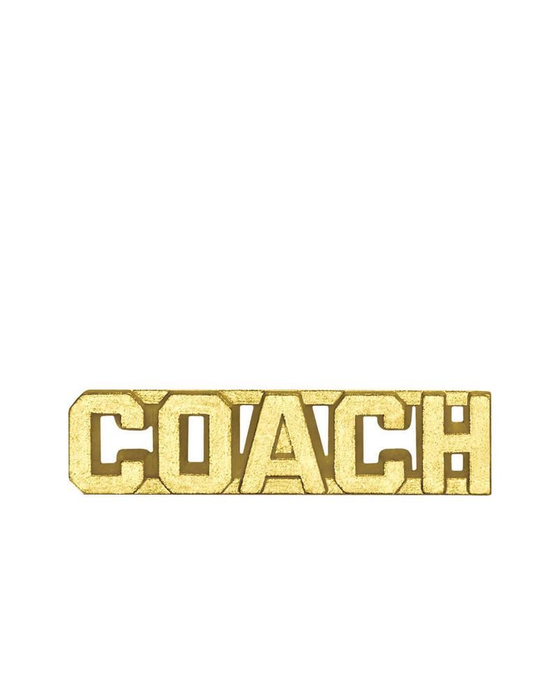 Sports Chenille Pin - Coach