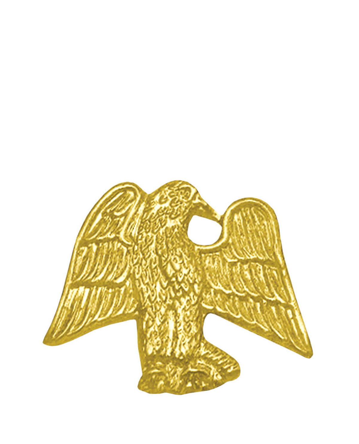 Sports Chenille Pin - Eagle