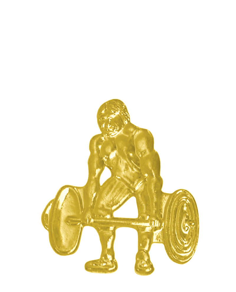 Sports Chenille Pin - Weightlifting